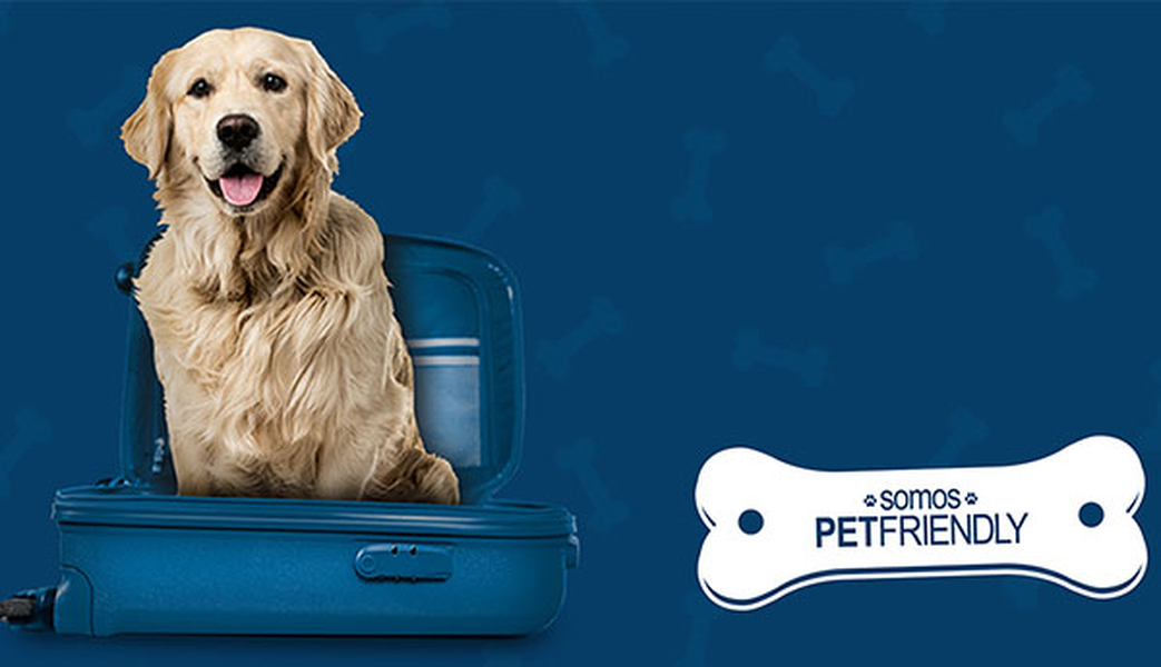 Want to travel with your pet? Hotel ILUNION Las Lomas Mérida